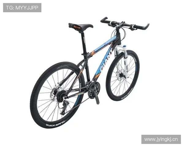 #本站首晒# 真正的买菜车！GIANT 捷安特 MOMENTUM 七速女式休闲自行车