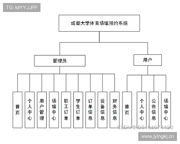 体育职业联赛组织（体育职业联赛组织结构图）sports